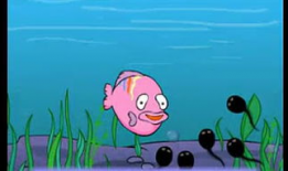 蝌蚪视频在线观看,在线观看的奇妙之旅